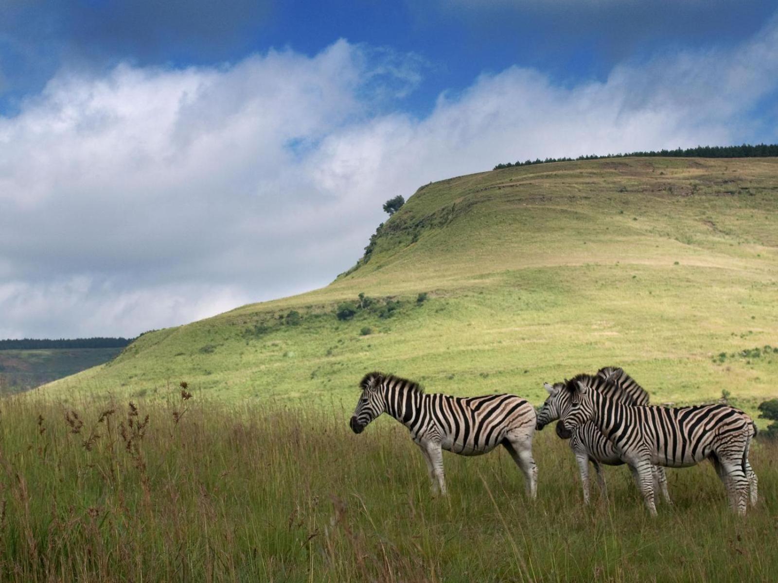 Zulu Waters Game Reserve Vila Estcourt Exterior foto